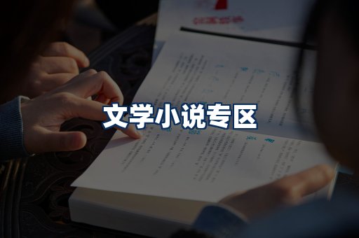 文学小说PDF展示